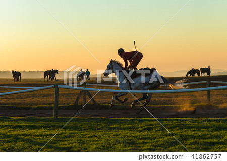 Race Horse Rider Running Training Dawn 41862757