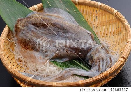 生魷魚活性魷魚 41863517
