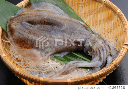 生魷魚活性魷魚 41863518
