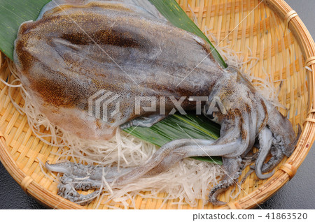 Raw squid active squid Raw squid active squid 41863520