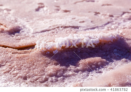 Pink salt lake 41863782