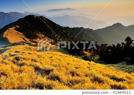 Morning Mountain View of Hehuanshan National Forest Recreation Area 41864012