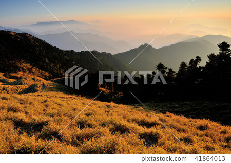 Morning Mountain View of Hehuanshan National Forest Recreation Area 41864013