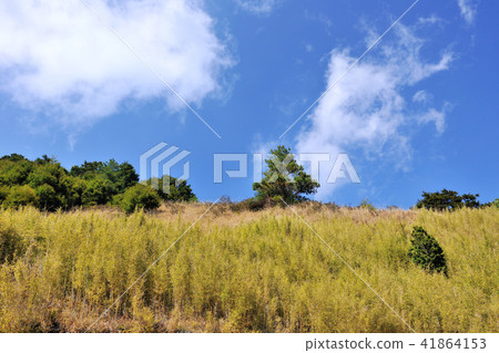 太魯閣國家公園 合歡山風景 太魯閣國家公園 合歡山風景 41864153