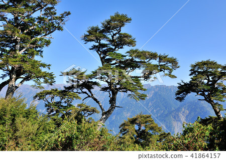 太魯閣國家公園 合歡山風景 太魯閣國家公園 合歡山風景 41864157