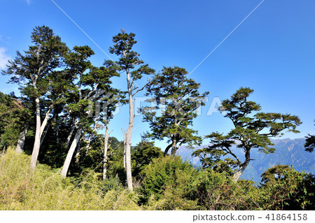 太魯閣國家公園 合歡山風景 太魯閣國家公園 合歡山風景 41864158