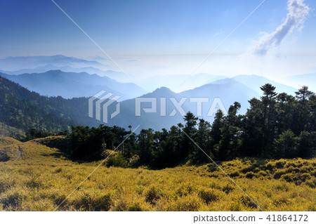 太魯閣國家公園 合歡山風景 太魯閣國家公園 合歡山風景 41864172