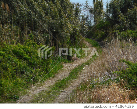 川原牧場 41864189