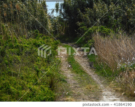 川原牧場 41864190