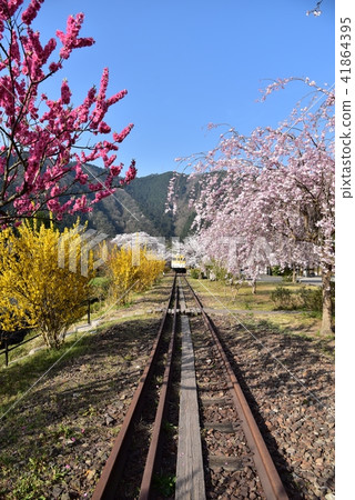 Anno flower station Park Hiroshima former JR Kabuto line Anno station Spring landscape 41864395