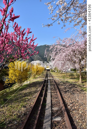 Anno flower station Park Hiroshima former JR Kabuto line Anno station Spring landscape 41864396