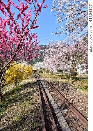 Anno flower station Park Hiroshima former JR Kabuto line Anno station Spring landscape 41864397