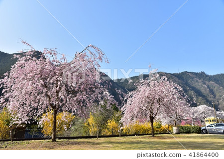 Anno花站Park Hiroshima前JR Kabuto線Anno站春天風景 41864400