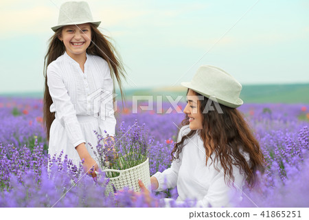 young woman and girl are in the lavender field young woman and girl are in the lavender field 41865251