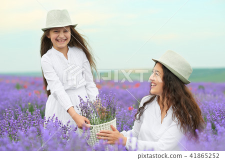 young woman and girl are in the lavender field young woman and girl are in the lavender field 41865252