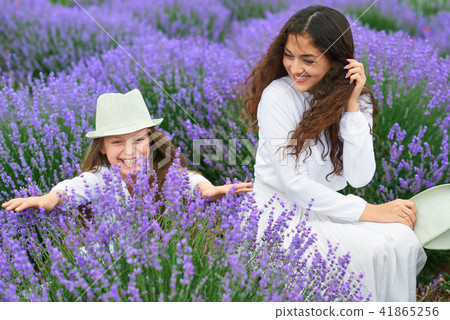 young woman and girl are in the lavender field young woman and girl are in the lavender field 41865256