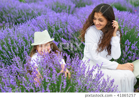 young woman and girl are in the lavender field 41865257