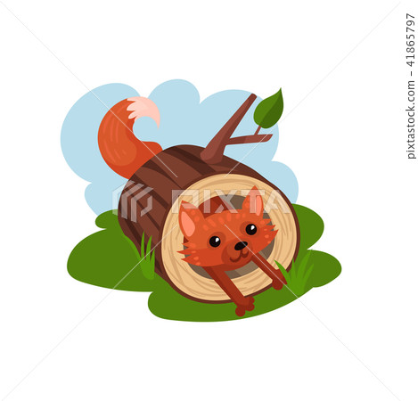 Little fox sitting inside felled tree vector Illustration on a white background 41865797
