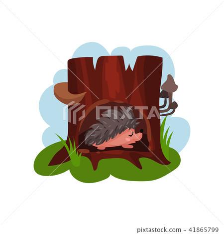 Cute hedgehog sleeping in hollow of tree, hollowed out old tree and funny animal inside vector Cute hedgehog sleeping in hollow of tree, hollowed out old tree and funny animal inside vector 41865799