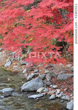 鹽原溫泉猩紅色懸索橋 41865911