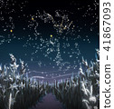 Illustration of a starry sky over a field  41867093