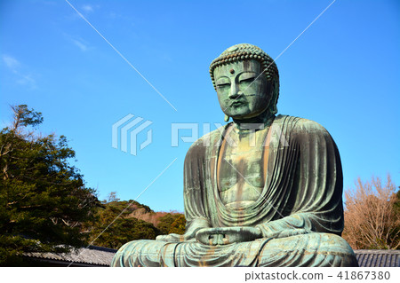 鎌倉和Kotokutein的大佛先生 41867380