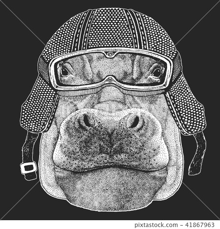 Hippo, Hippopotamus, behemoth, river-horse. Vintage motorcycle hemlet. Retro style illustration with 41867963