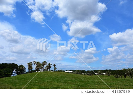 初夏Tsujido海濱公園 41867989