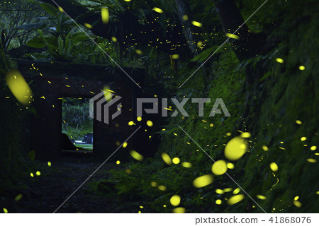 Flying fireflies 41868076