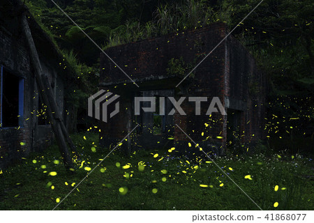 Flying fireflies 41868077