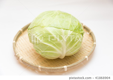 cabbage cabbage 41868904
