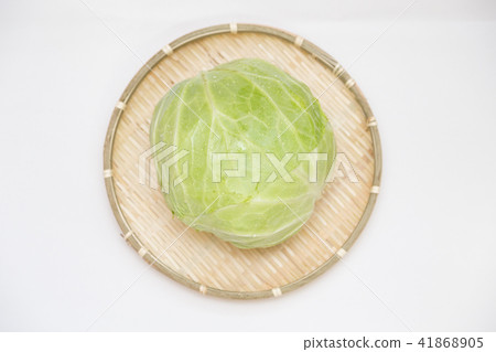 cabbage  41868905