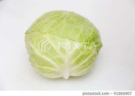 捲心菜 41868907