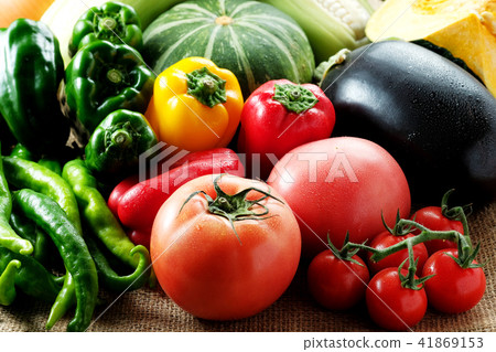 夏季蔬菜 夏季蔬菜 41869153
