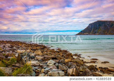 Rocky beach, Lofoten, Norway 41869589
