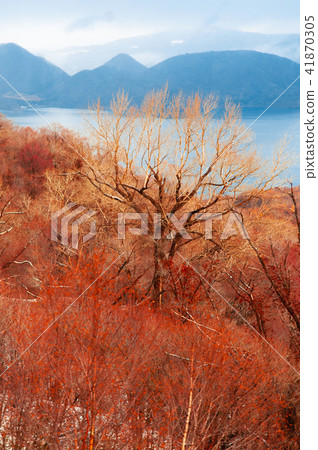 Hokkaido Usuzan mountain forest lake Toya autumn Hokkaido Usuzan mountain forest lake Toya autumn 41870305