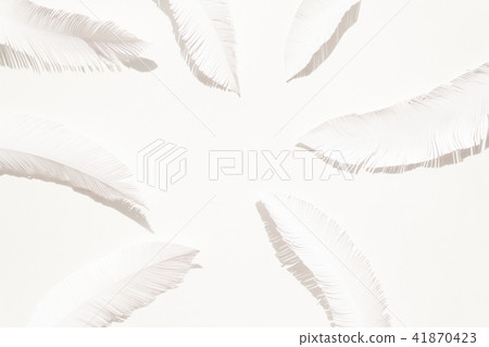 the feathers of a bird made of white paper 41870423