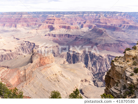 South rim of Grand Canyon 41870580