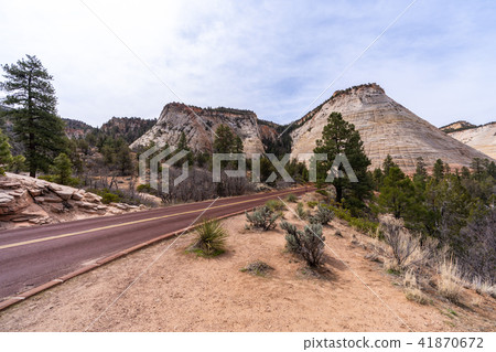 Checkerboard Mesa at Zion national park Checkerboard Mesa at Zion national park 41870672