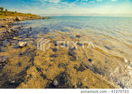 Rocky seashore. Sea of Galilee in Tabgha, Israel 41870783