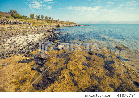 Rocky seashore. Sea of Galilee in Tabgha, Israel 41870784