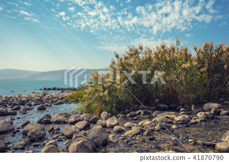 The coast of the Sea of Galilee 41870790