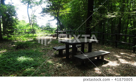 Forest bench and chair 41870805