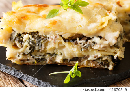 White lasagna with chicken, forest mushrooms White lasagna with chicken, forest mushrooms 41870849
