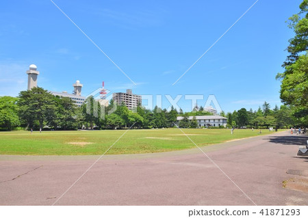 Sendai Nakagaoka Park 41871293