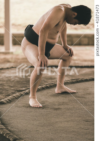 sumo, sumo wrestling, japanese culture 41871473