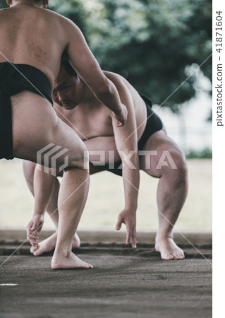 sumo, sumo wrestling, training 41871604