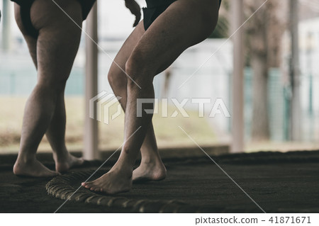 sumo, sumo wrestling, training 41871671