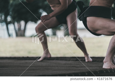 相撲 研修 訓練 41871676