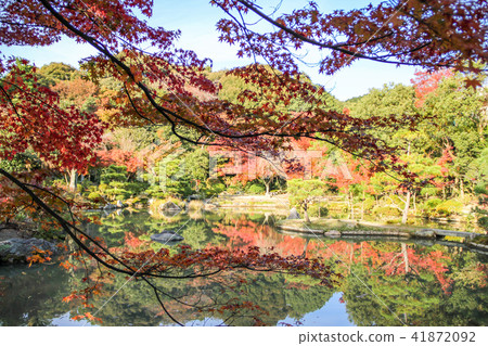 傳說Gojoin·Jodo型花園，秋葉映在池塘與兩層山 41872092
